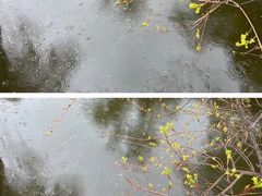 -碑林公园