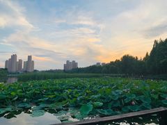-前关湿地公园