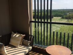 -上海崇明金茂凯悦酒店