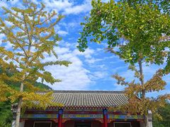 -竹子庵公园