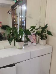 -Dr.林醫生产后修复·超级店(南京江宁同曦店)