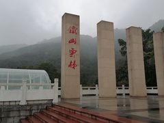 -铁山坪森林公园