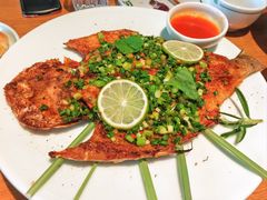 -一坐一忘云南菜(三里屯店)