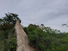 -大岭沟猕猴桃谷风景区