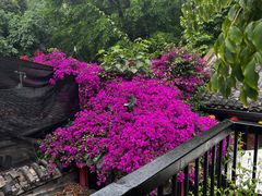 -院8里·少城记忆老川菜(宽窄巷子店)