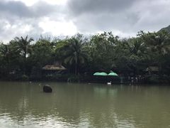 -呀诺达热带雨林