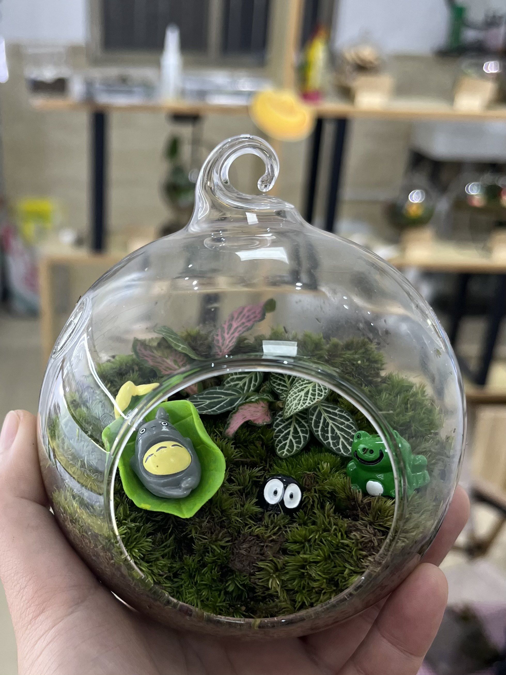 手工diy微景观,放松又好玩