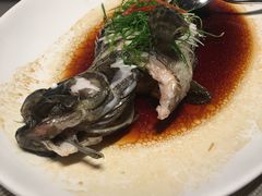 清蒸海石斑-彩丰楼中餐厅·仁恒洲际酒店