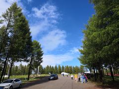 -塞罕坝国家级自然保护区