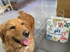 -pd派德宠物中心医院24H急重症·眼科中心·血液透析中心(嵩山北路店)