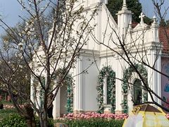 -杭州湾海上花田景区