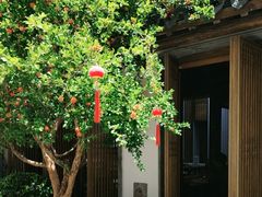 -鲤院·新中式美学·庭院餐厅(夫子庙店)