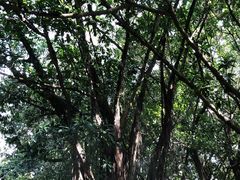 -北海市海滨公园