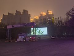 -枫花园汽车电影院(朝阳公园店)