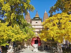 -北京石刻艺术博物馆(五塔寺)