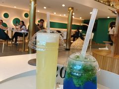 -飞行喵MR PILOT|猫舍·猫咖(静安大融城店)