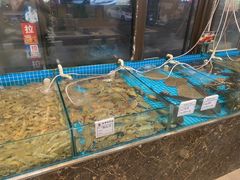 -渡海小渔村.老辈日照菜