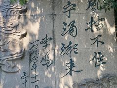 -观潮胜地公园