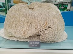 -长春农博园