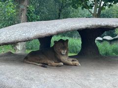 -北京野生动物园