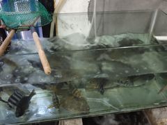 水产区-阿军排档·烧烤