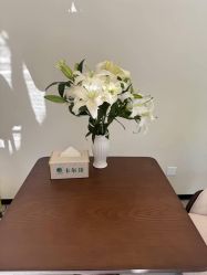 -卡尔诗·科技美肤连锁