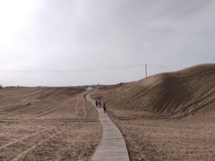 -银肯塔拉沙漠生态旅游景区