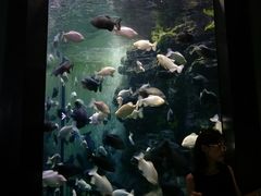 -成都浩海立方海洋公园