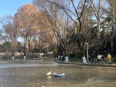 -西安市长乐公园