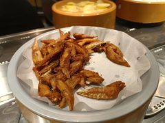 -龍歌自助小火锅(城阳万象汇店)