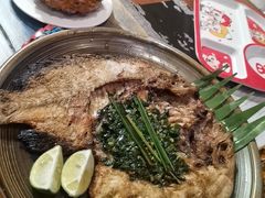 -滇越乘象云南餐厅(豆各庄店)