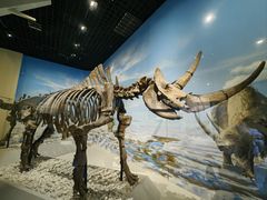 -国家自然博物馆