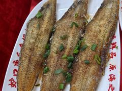 -蛇口康乐快餐鱼仔档(翠苑小区店)