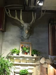 点击看大图 -salon漫