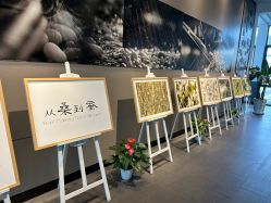 -太湖雪蚕桑文化园