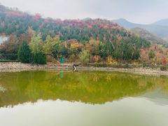 -静之湖湖畔餐厅