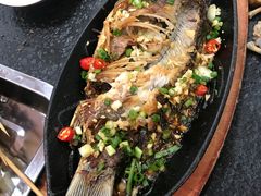 -老黑板筋(顺义总店)