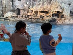 -帝企鹅自助餐厅•儿童岛•真企鹅(长隆企鹅酒店)