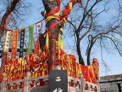 -大槐树寻根祭祖园