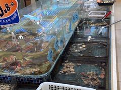 -天盛海鲜烧烤大排档·本地小海鲜·牟平腿穗子(幸福店)