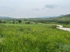 -御道口草原森林风景区