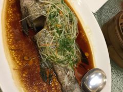 -頂好酒家·经典粤菜(海信广场店)