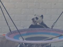 -石家庄市动物园