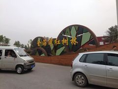 -北海金海湾红树林生态旅游区