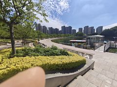 -新江湾城公园