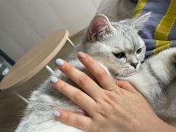 -OAE日式皮肤管理お肌の