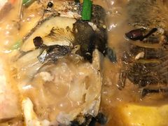 -卢大鲜鱼头捞饭(美利广场店)