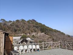 -黄贤森林公园