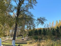 -长春世界雕塑园冰雪艺术天地