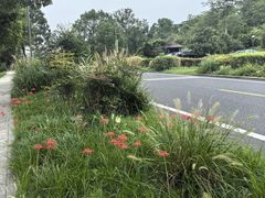 -雅达·阳羡溪山小镇中心